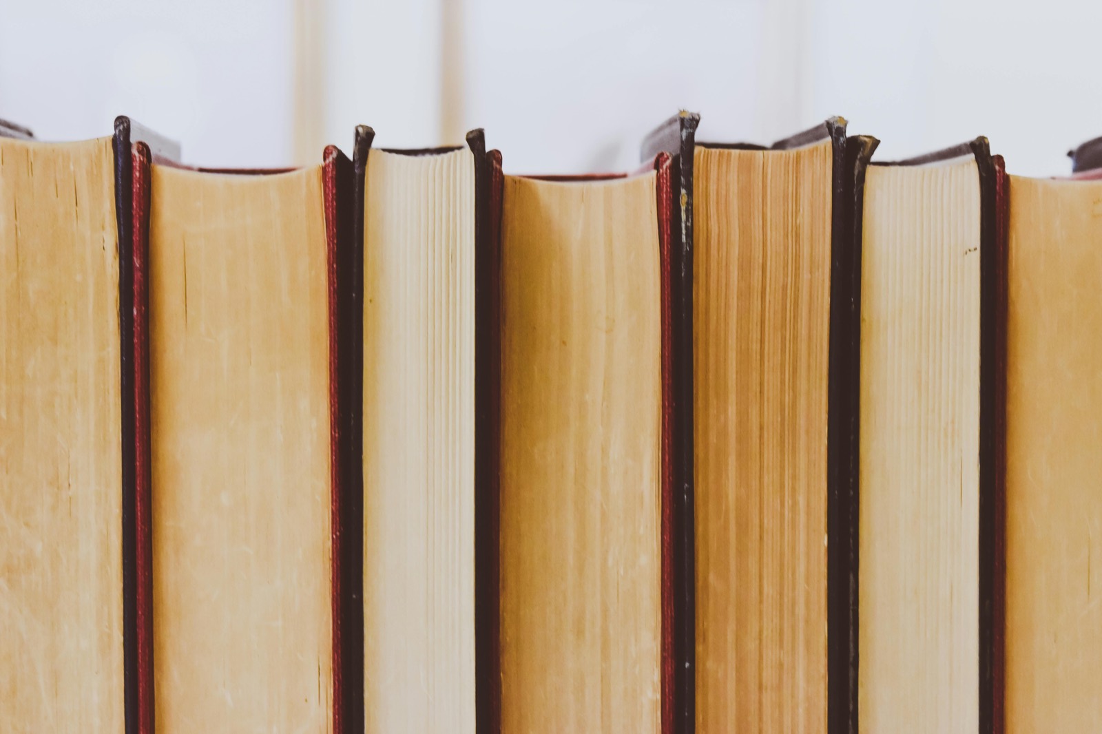 A row of books lined up on a shelf